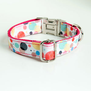 Why Your Pet Deserves the Bubble Pet Collar Leash