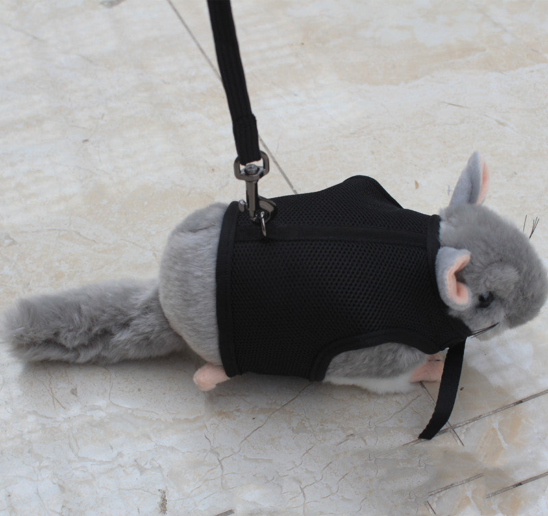 The Ultimate Small Pet Leash: A Must-Have for Pet Owners