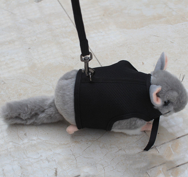 The Ultimate Small Pet Leash: A Must-Have for Pet Owners