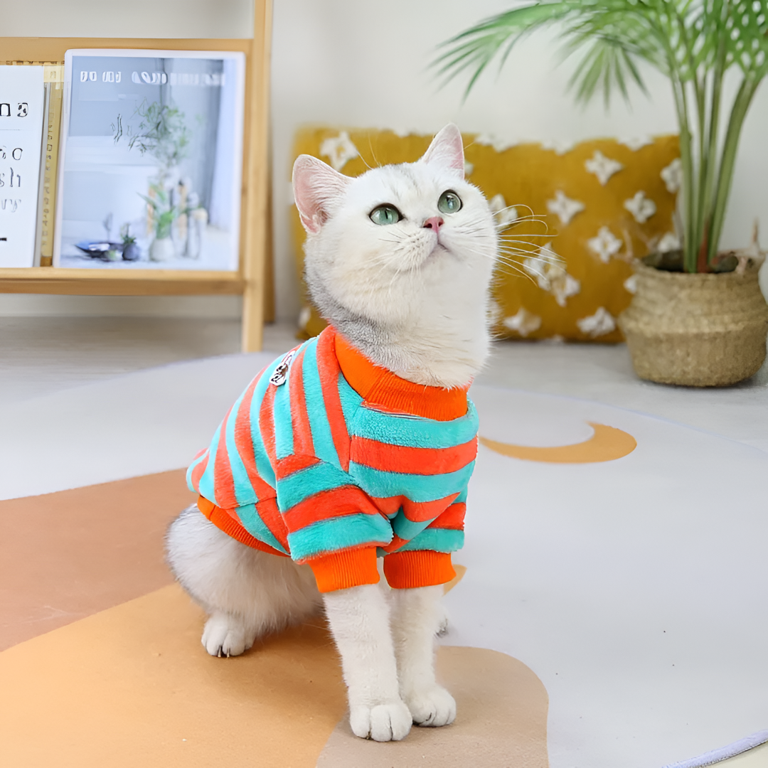 Stylish and Comfortable Pet Apparel