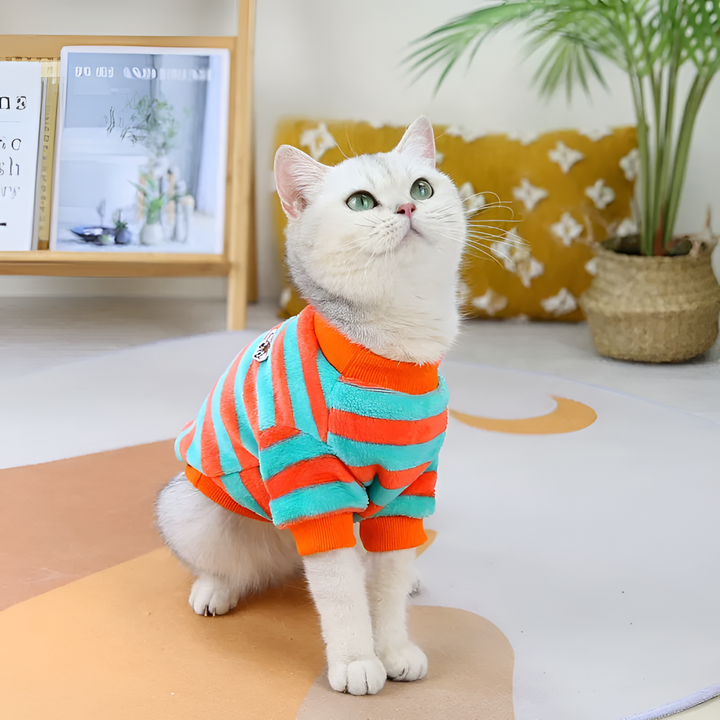 Stylish and Comfortable Pet Apparel