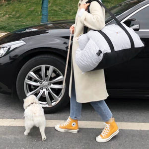 Traveling Safely with Your Pet: The Ultimate Dog Safety Car Carrier