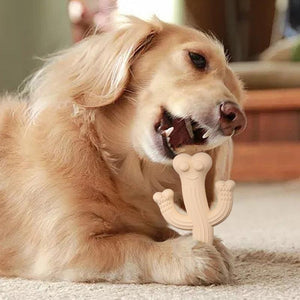 Cactus Puppy Chew Toy: The Perfect Playtime Companion