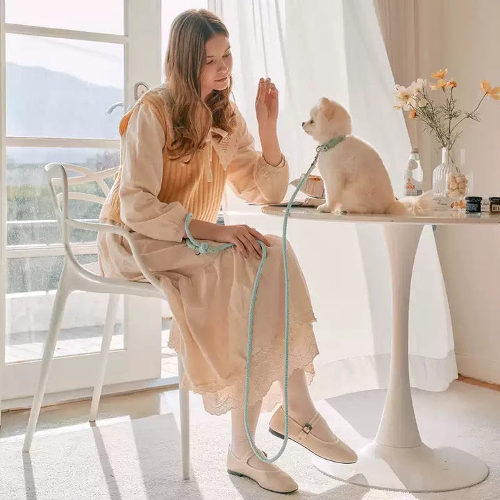 Discover the Perfect Leash for Your Furry Friend