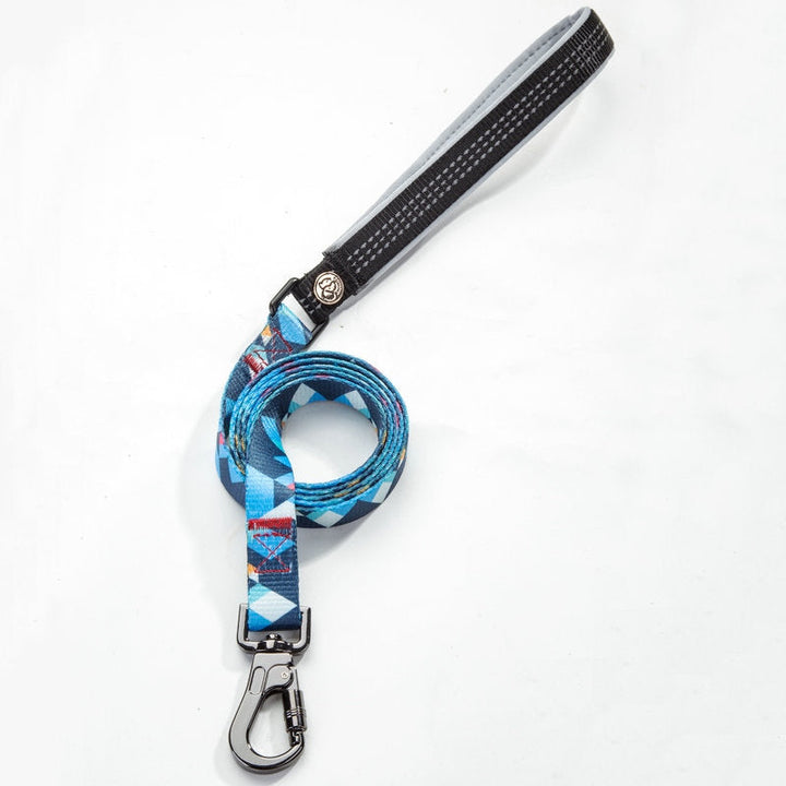 Discover the Ultimate Dog Leash for Your Furry Friend