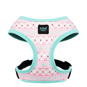 Unleash the Adventure with Our Pet Chest Strap Dog Leash