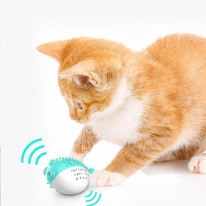 Engage Your Cat with Our Silicone Grabbing Cat Toys