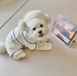 Why Your Pet Deserves the Best Bath Experience