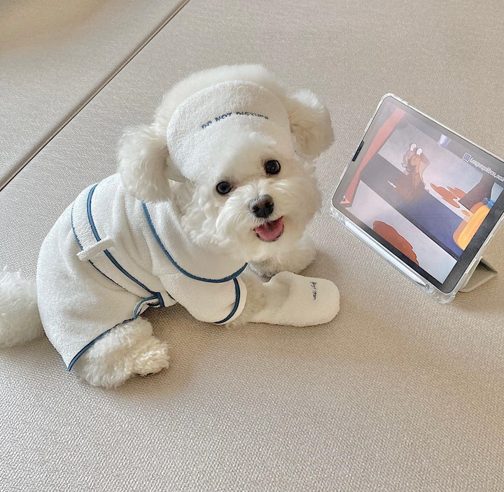 Why Your Pet Deserves the Best Bath Experience