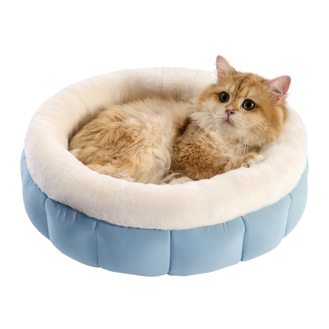 Donut Washable Pet Bed With Anti-Slip Bottom