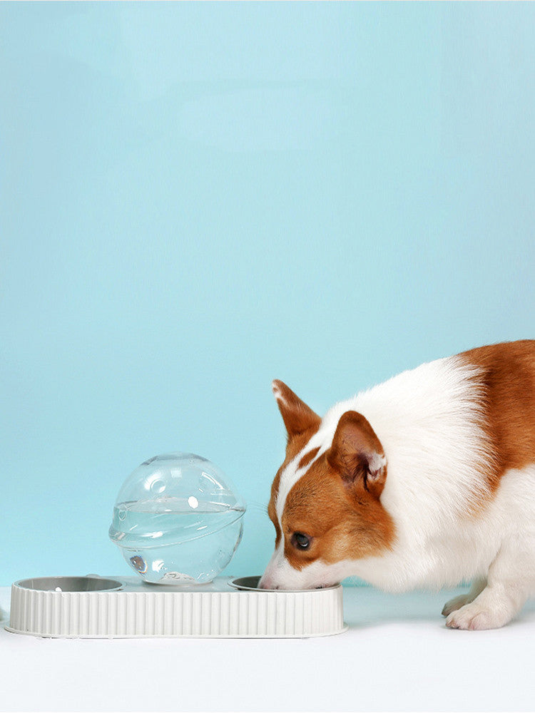 Plastic Pet Automatic Feeder