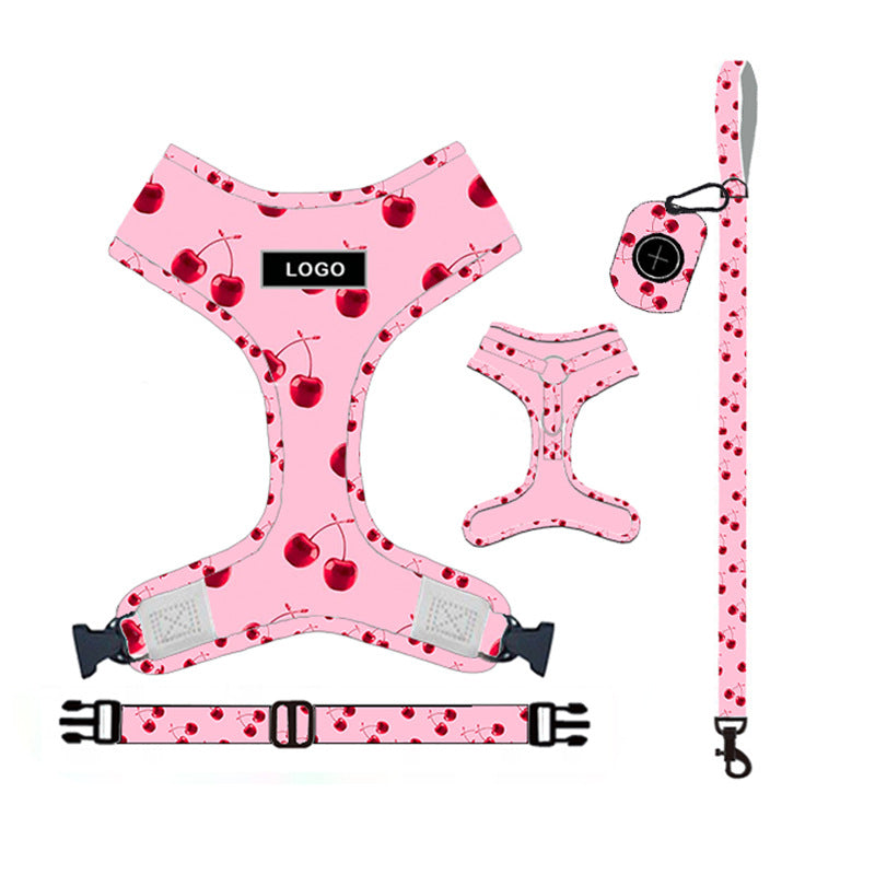 Pet Supplies Dog Leash Set