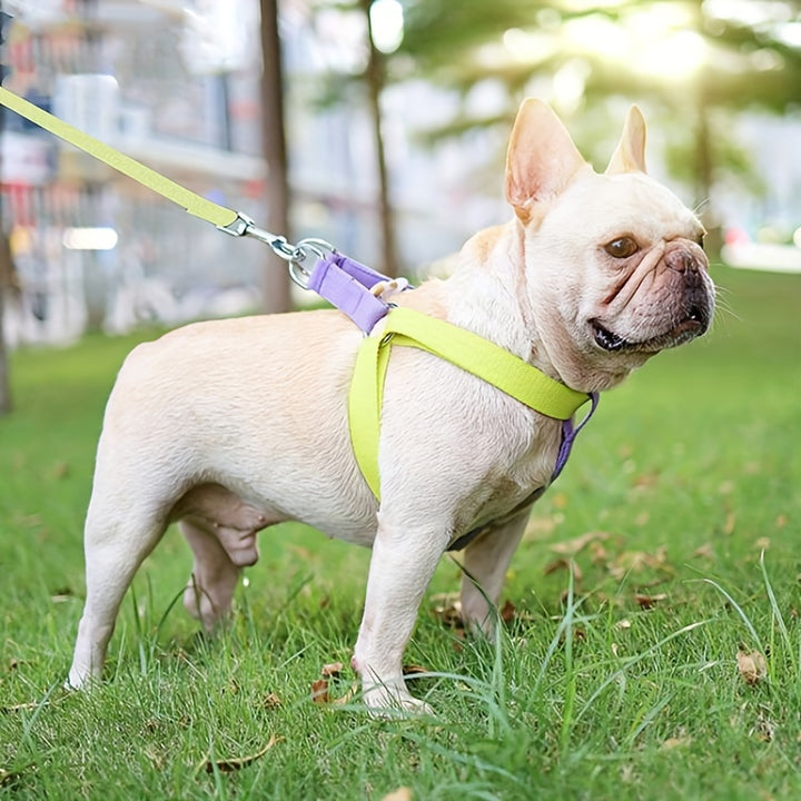 Pet Chest Cotton Leash Set