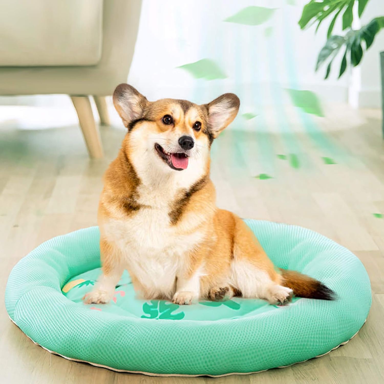 Pet Round Breathable Non-Slip Bed