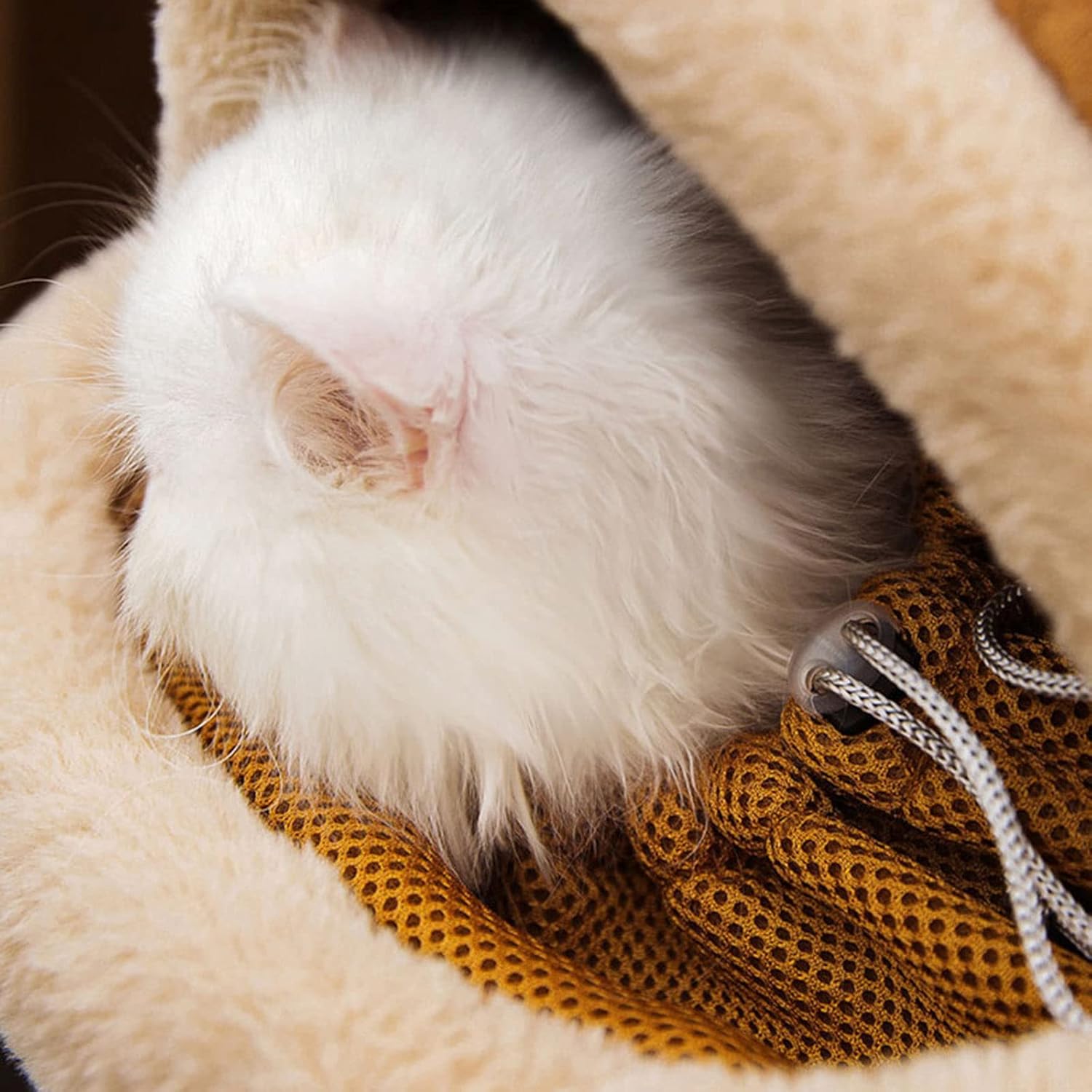 Outdoor Pet Winter Carrier