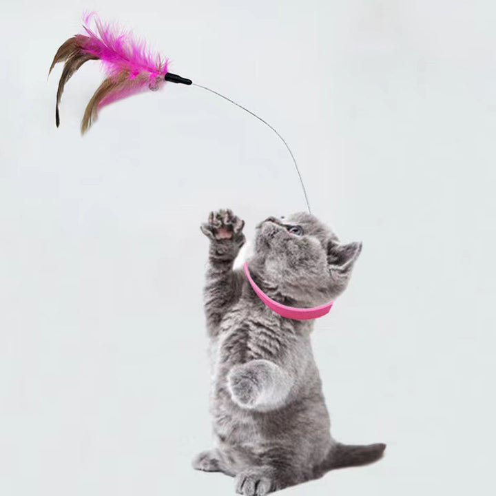 Attached Silicone Cat Collar Toy