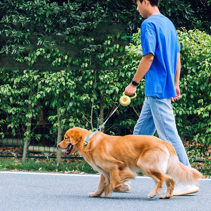 Retractable Pet Reflective Rope Leash