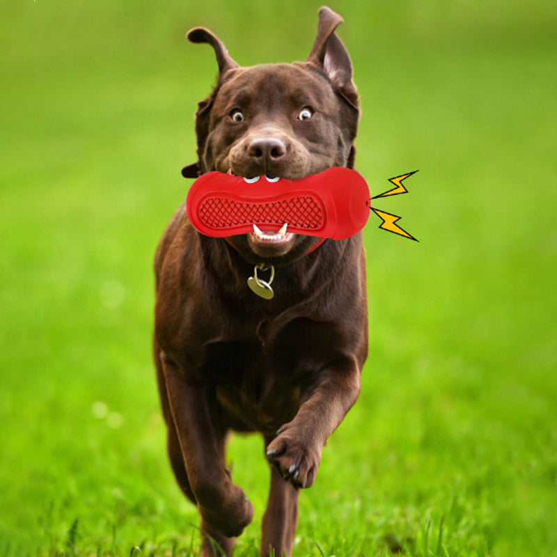 Vocal Rugby Pet Natural Rubber Teething Toys