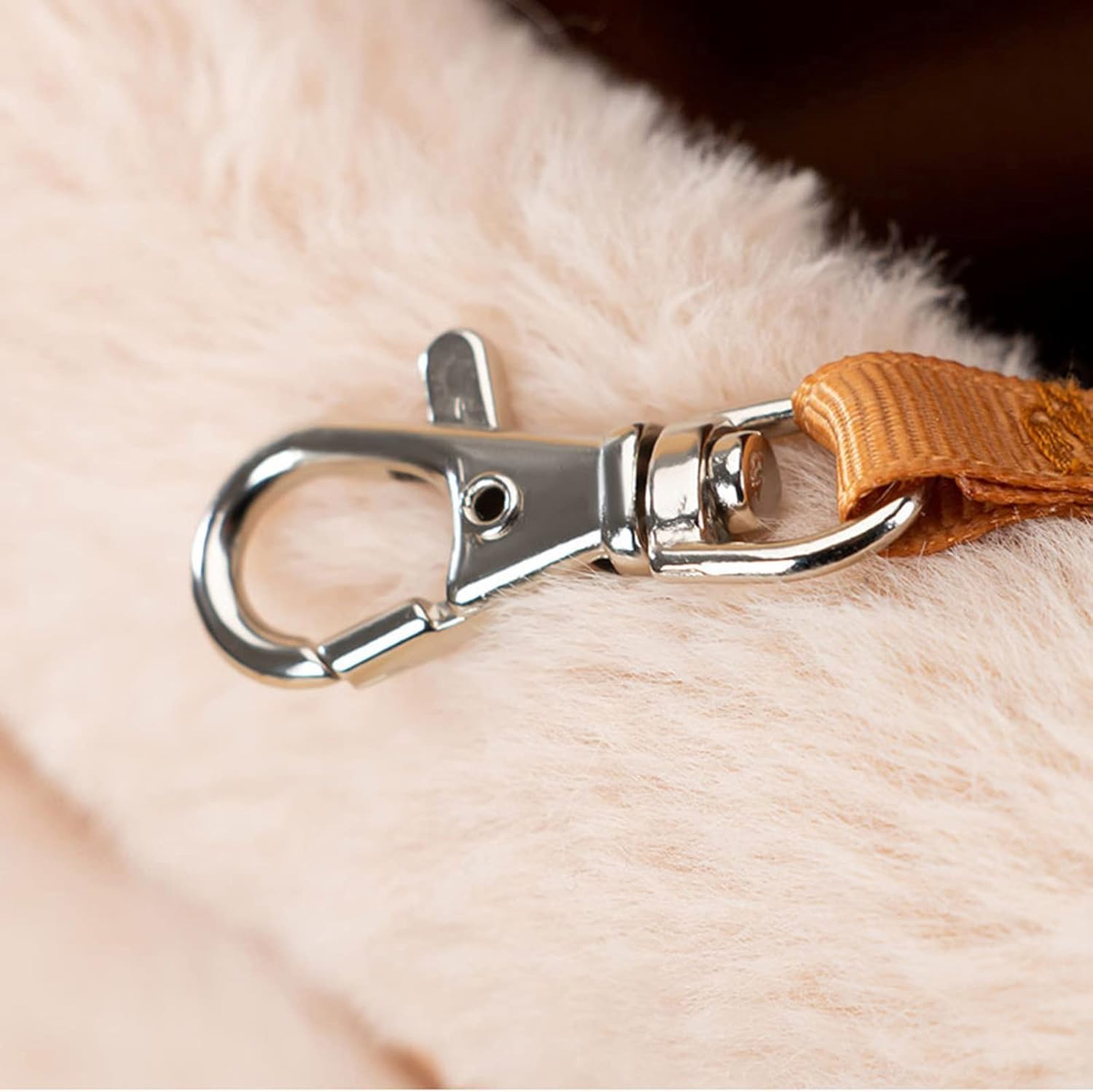 Outdoor Pet Winter Carrier