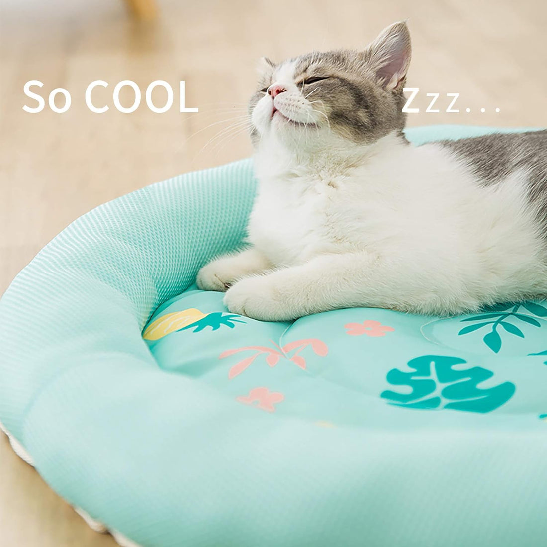 Pet Round Breathable Non-Slip Bed