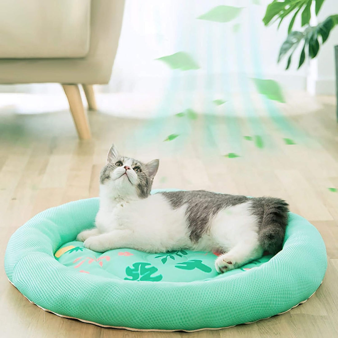 Pet Round Breathable Non-Slip Bed