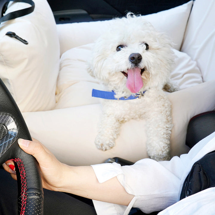 Creative Pet Car Carrier