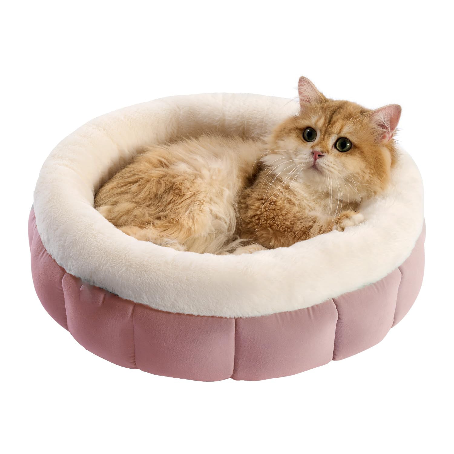 Donut Washable Pet Bed With Anti-Slip Bottom