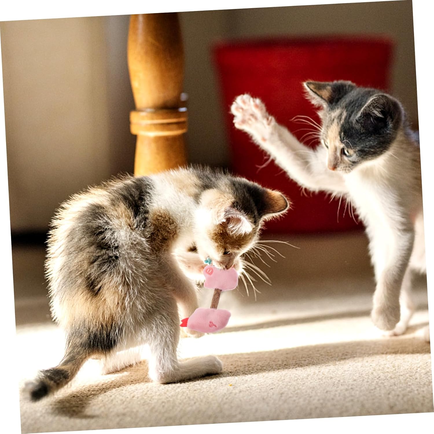 Kitten Teeth Cleaning Toys