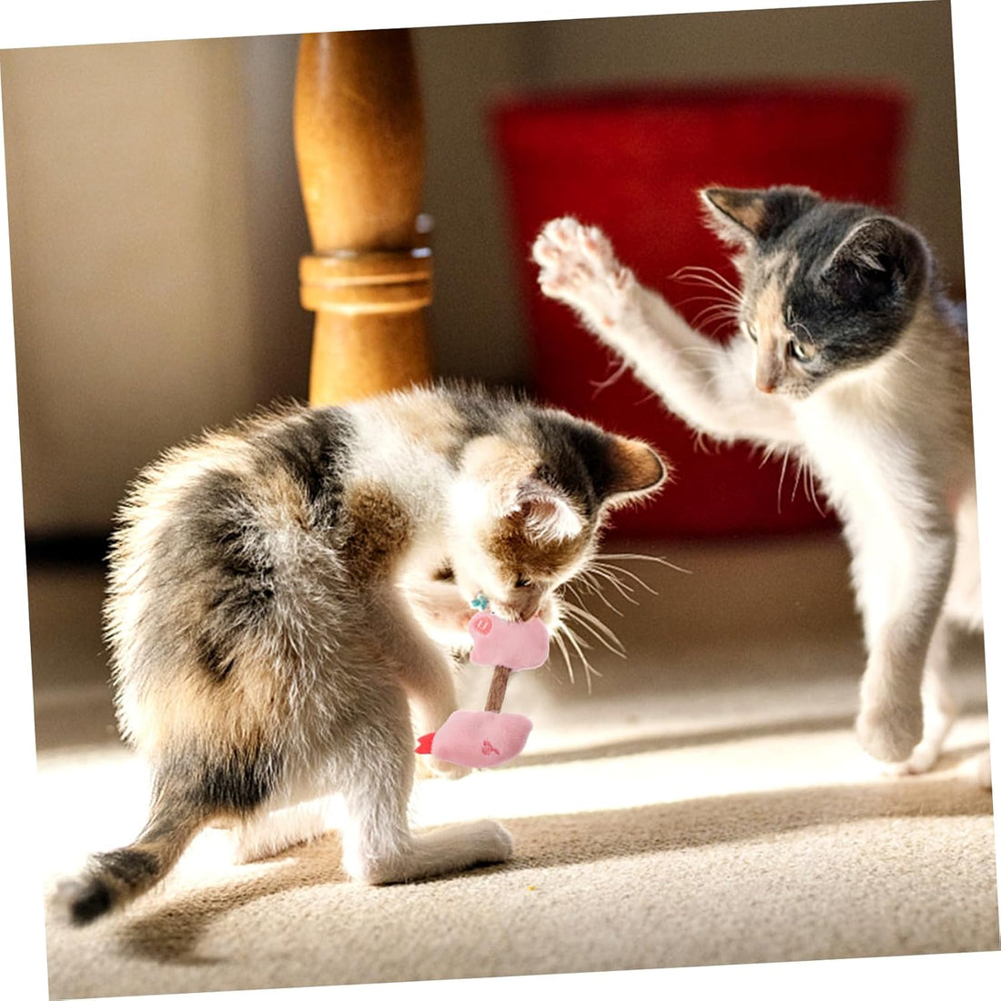 Kitten Teeth Cleaning Toys