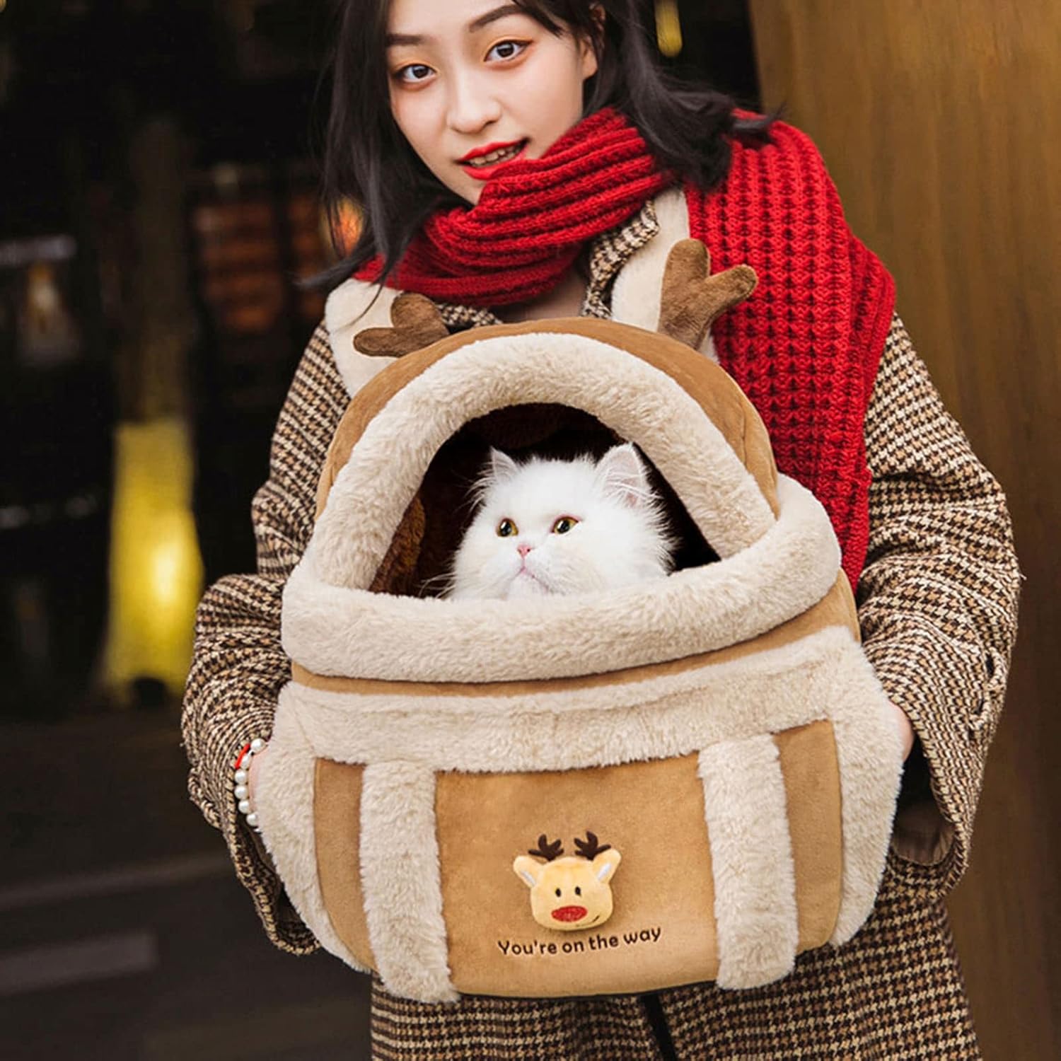 Outdoor Pet Winter Carrier