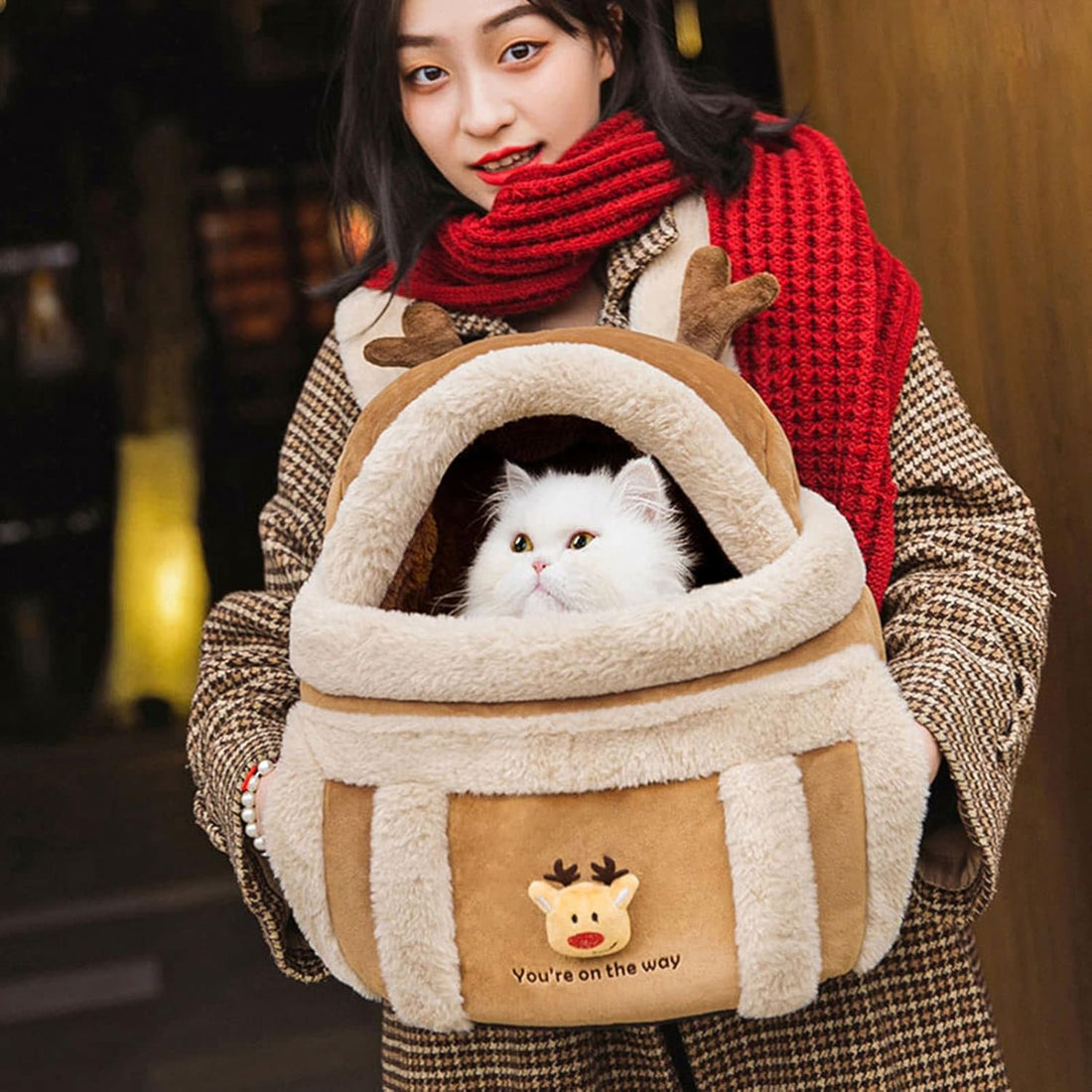 Outdoor Pet Winter Carrier