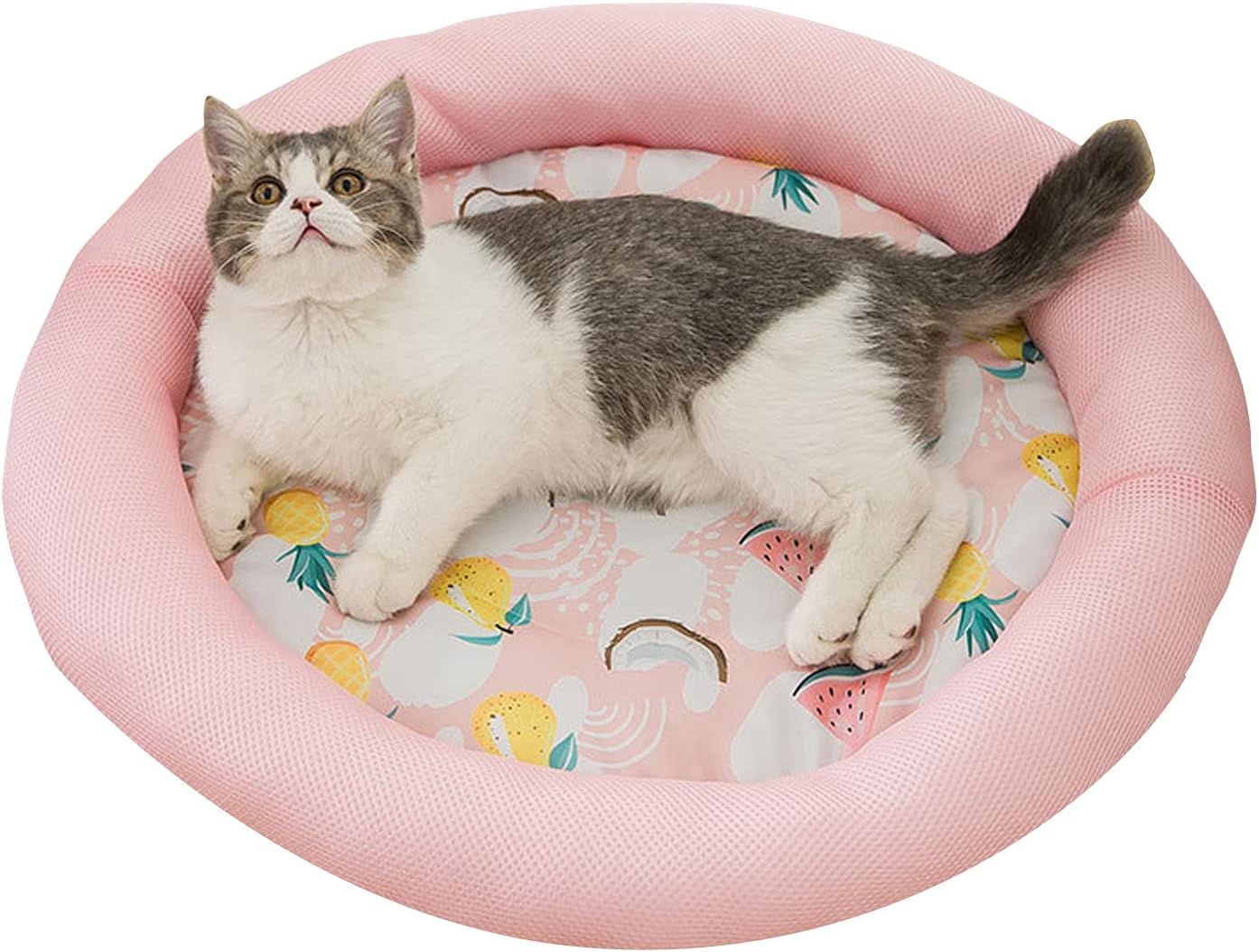 Pet Round Breathable Non-Slip Bed