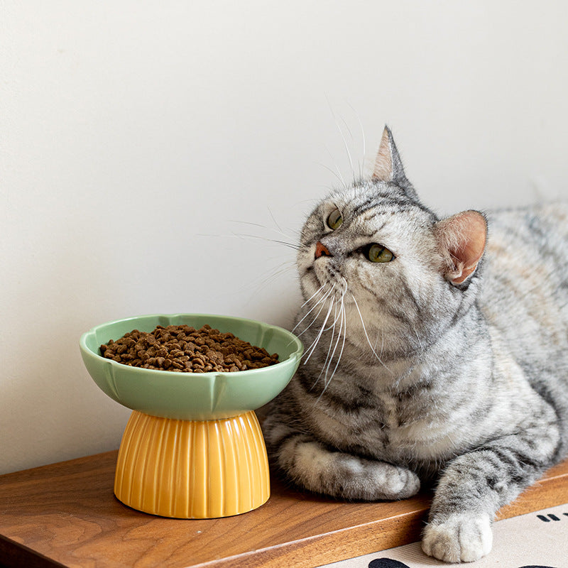Pet Candy Color Feeding Ceramic Bowl
