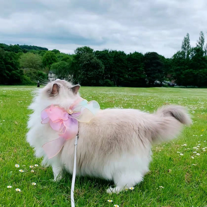 Butterfly Retractable Pet Leash
