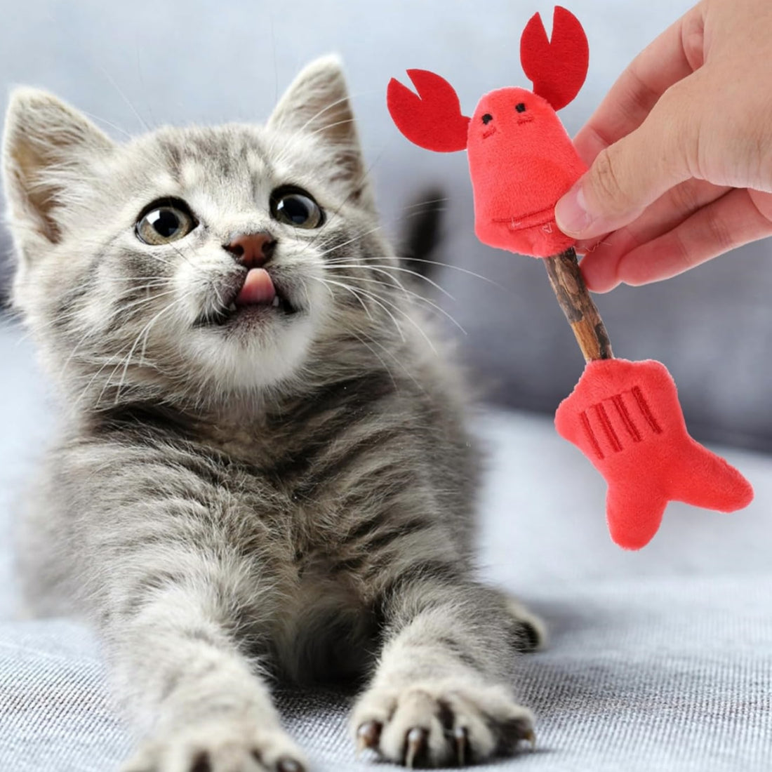 Kitten Teeth Cleaning Toys
