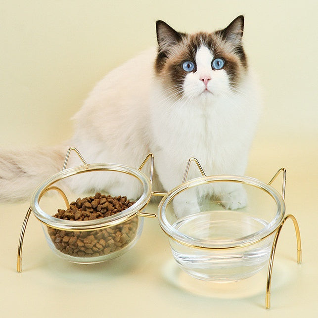 Glass Dish Feeder Pet Food Bowls