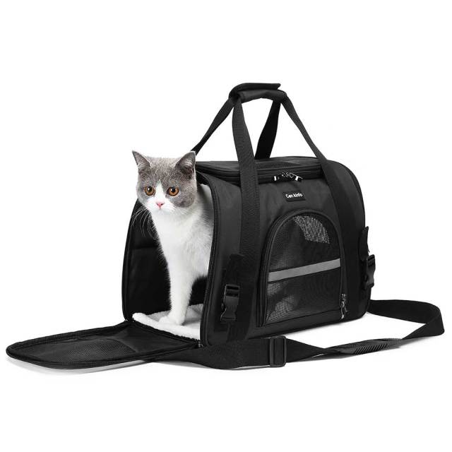 Foldable Portable Pet Carrier Bag