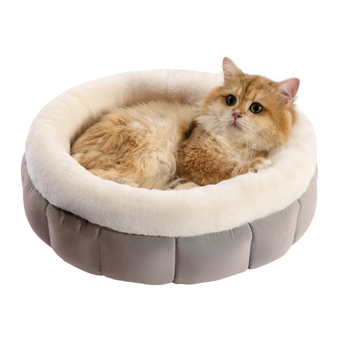 Donut Washable Pet Bed With Anti-Slip Bottom