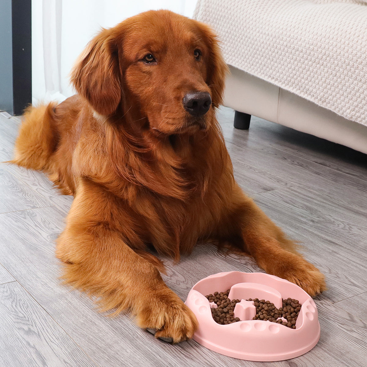 Large Capacity Pet Feeding Water Dog Bowl